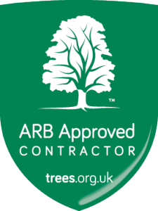 Tree Work Ealing